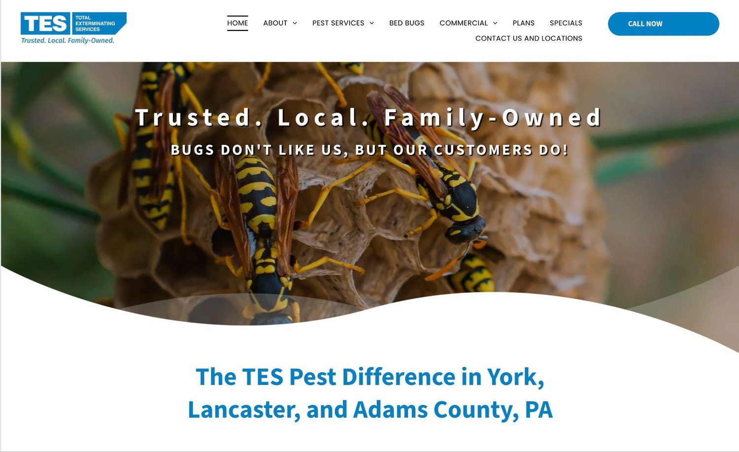TES Pest website before the redesign